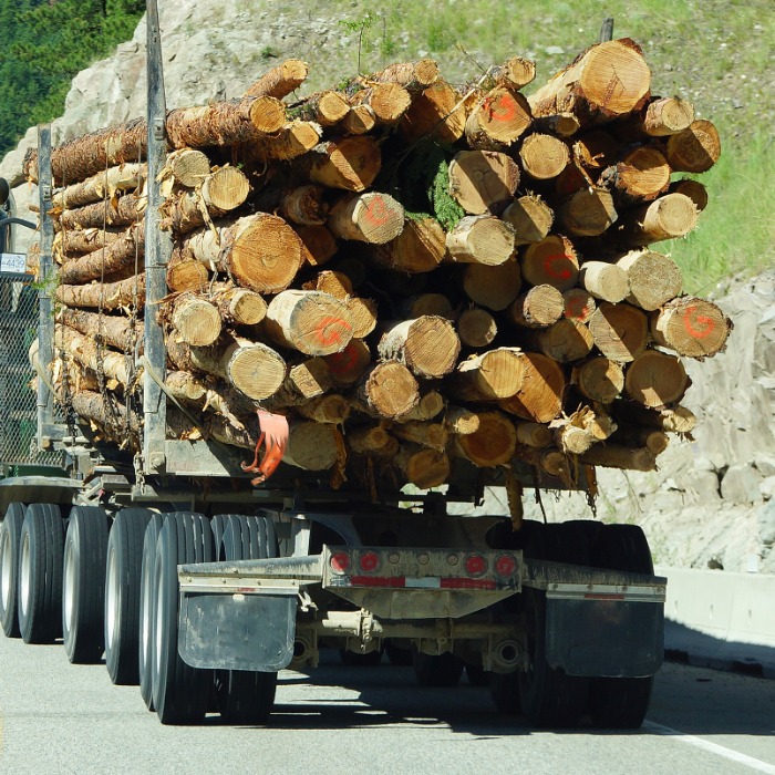 EUTR kötelezettség fa alapanyagok értékesítése esetén