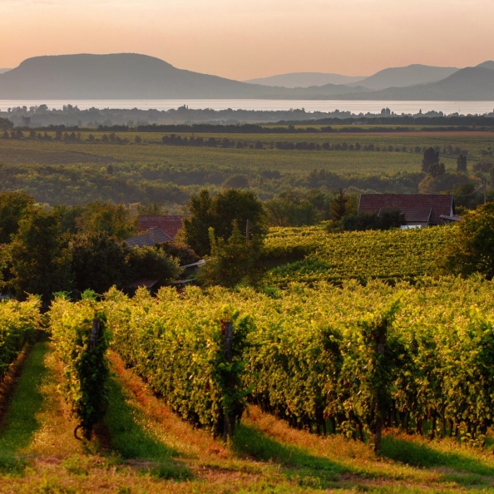 Egymillió forint kiegészítő támogatás pályázható a turisztikai Start kölcsönhöz