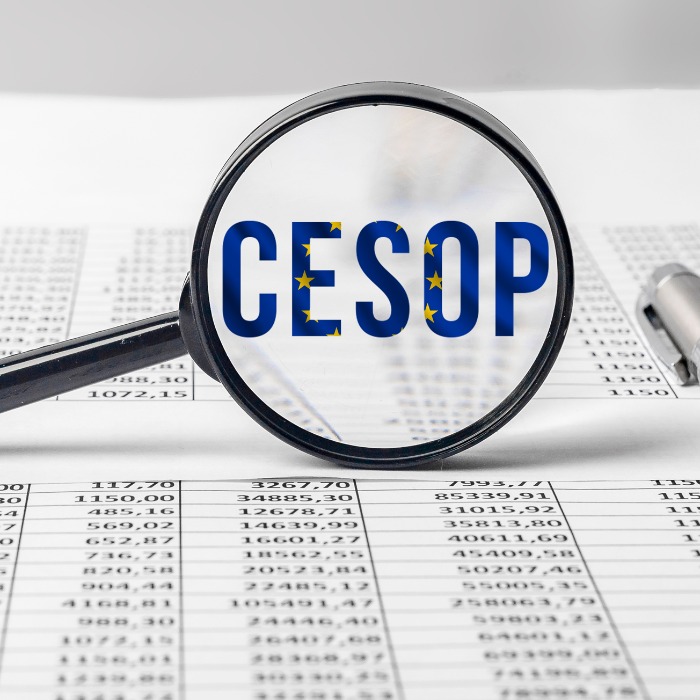 A NAV segíti a pénzforgalmi szolgáltatókat a CESOP-adatszolgáltatásban
