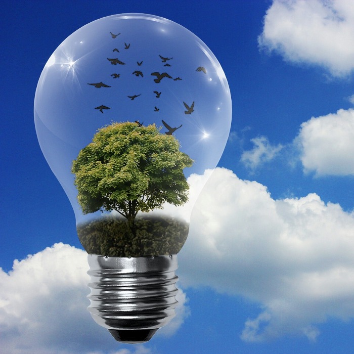 Pályázható a CSR Hungary Díj 2026